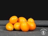 Kumquats – Environ 15 pièces