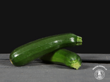 Courgettes vertes (Prix pour 1 pièce)