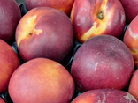 Nectarines Jaunes