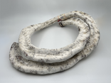 Saucisse sèche