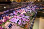 La 16ème Viande