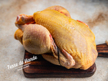Poulette fermière du Périgord monsieur Dumas - 1,600 kg