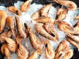 Crevettes grises
