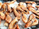 Poissonnerie Gourmande