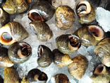 Poissonnerie Gourmande