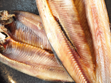 Kippers