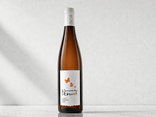 Evidence 2024 - Domaine de l'Envol