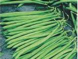 Haricots verts extra fin éboutés en barquette 250g