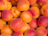 Abricots extra