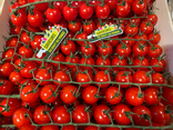 Tomates cerises grappe