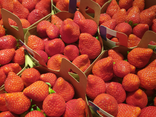 Fraises Clery 500g