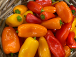 Mini poivrons multi couleur