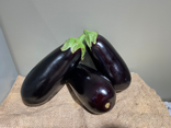 Aubergine