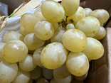 Raisin blanc italie