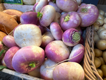 Navets Violet "Nouveau"