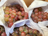 L'Île aux Fruits