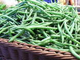 Haricots Verts cueilli main