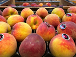 L'Île aux Fruits