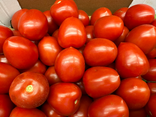 Tomates Olivette HERVÉ - LOCAL