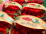 Fraises Gariguette de Plougastel