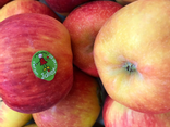 Pommes Juliet BIO