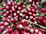 L'Île aux Fruits