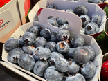 L'Île aux Fruits