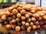 Carottes des Sables