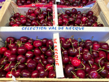 L'Île aux Fruits