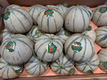 Melon Boule de miel - Charentais Jaune (Petit Calibre)