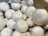 Champignons de Paris