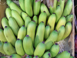L'Île aux Fruits