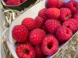 Framboise