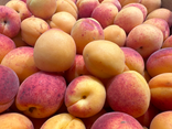 L'Île aux Fruits