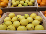 Citron Bio