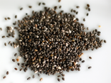 Graine de chia