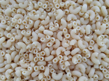 Coquillette blanche