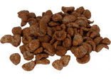 Chocolune - Grillon d'or