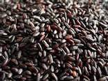 Riz noir complet Nerone