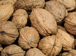 Noix fraîche Bio