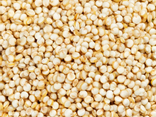 Quinoa blanc
