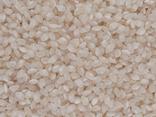 Riz Mediterranée rond blanc