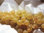 RAISIN BLANC