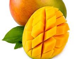 EXO MANGUE KENT