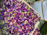tome aux fleurs