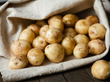 POMME DE TERRE NOUVELE