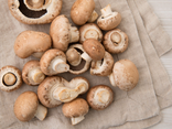 Champignon brun