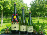 Cidre Coat Albret brut ou fruité 75 cl
