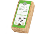 Brebis ails des ours