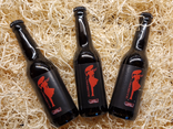 Bière Larmorienne Triple - 33cl